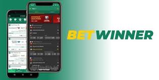 Simple Guide to the BetWinner Login Process